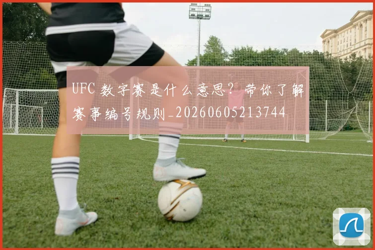 UFC 数字赛是什么意思?带你了解赛事编号规则_20260605213744