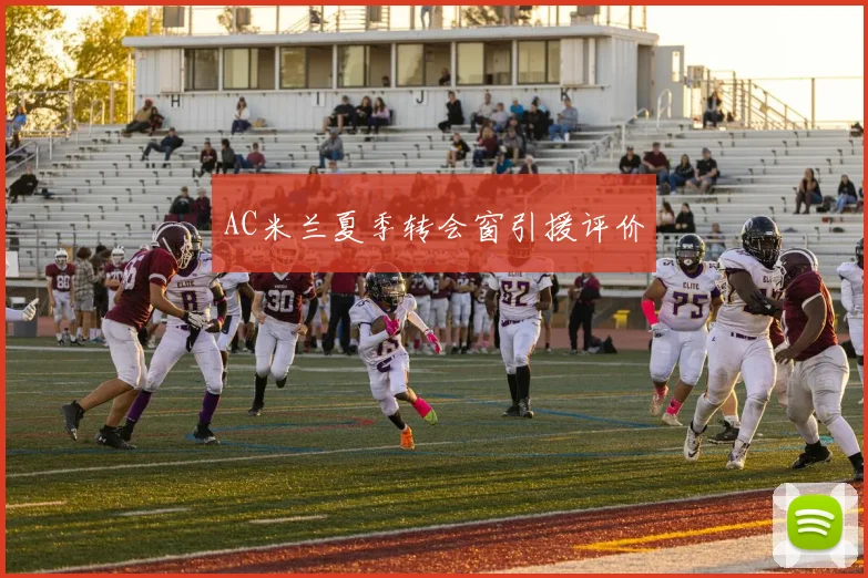 AC米兰夏季转会窗引援评价