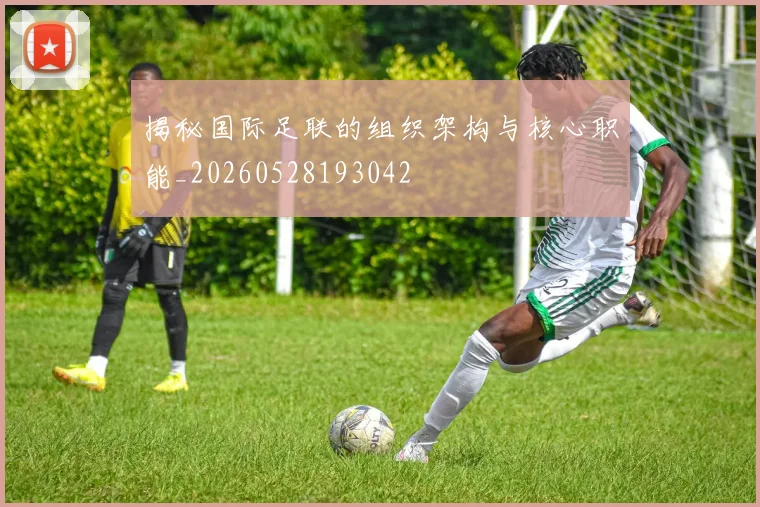 揭秘国际足联的组织架构与核心职能_20260528193042