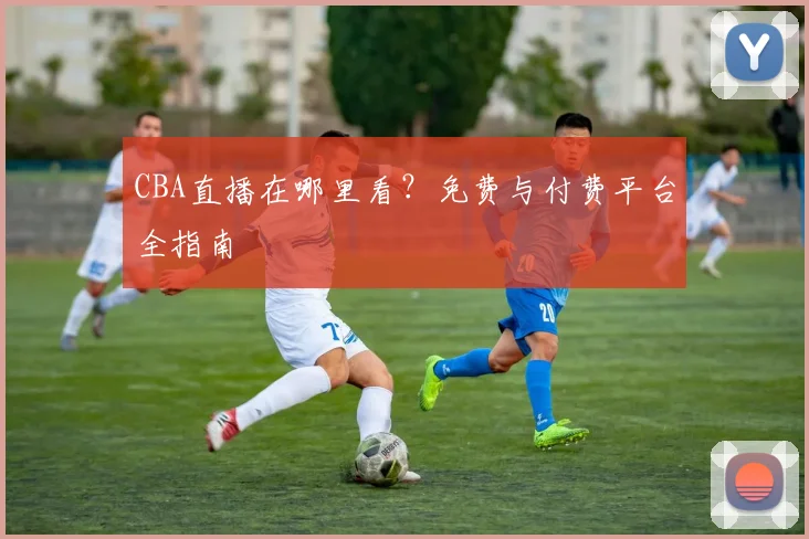 CBA直播在哪里看？免费与付费平台全指南