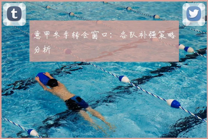 意甲冬季转会窗口：各队补强策略分析