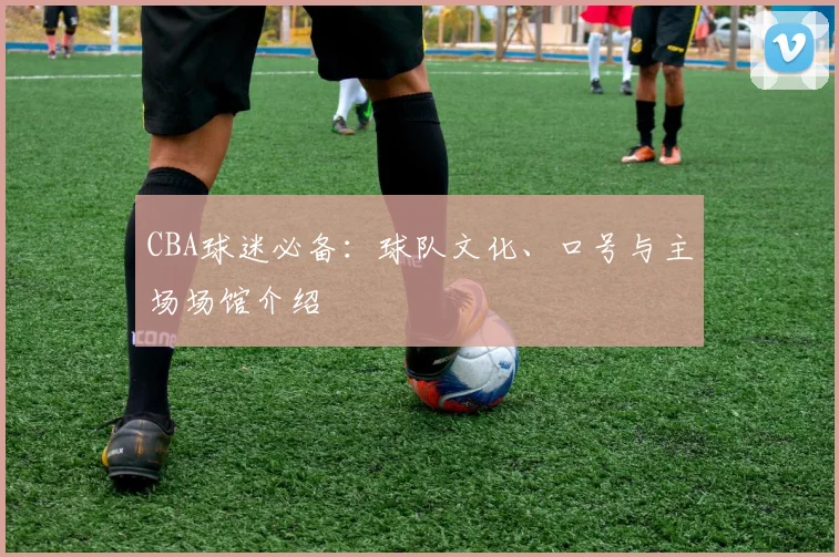 CBA球迷必备：球队文化、口号与主场场馆介绍